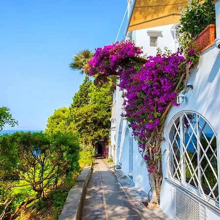 Faraglionensis Monaconehouse شقة