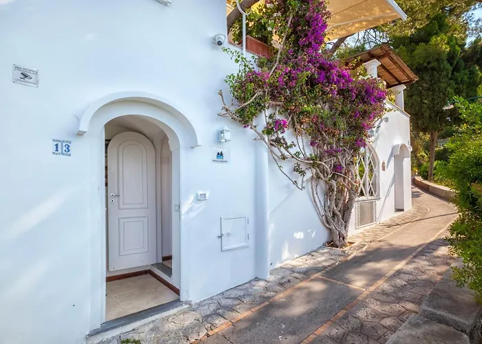 Faraglionensis Monaconehouse